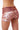 WILD BROWN HOT SHORTS